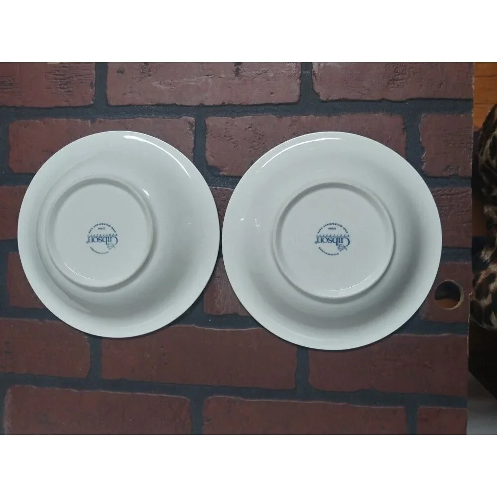 2 GIBSON Housewares pasta bowls Embossed FRUIT 8